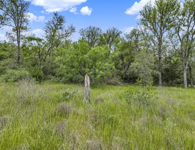 PXL_20250419_160132168