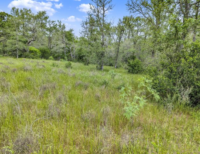 PXL_20250419_160204203