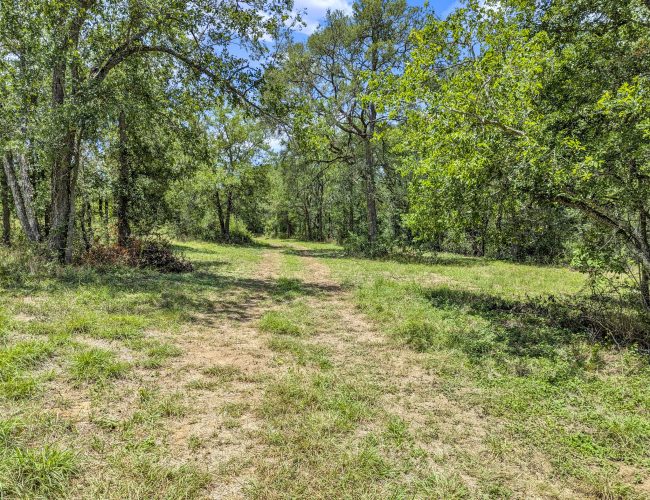 PXL_20250626_181216473