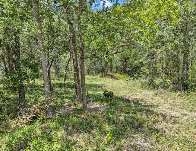 PXL_20250626_181226809