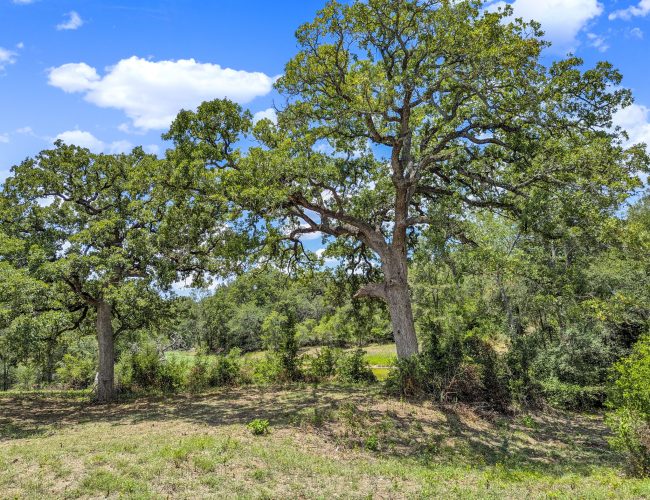 PXL_20250626_183657316