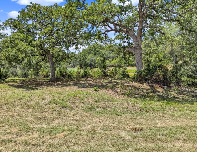 PXL_20250626_183659851