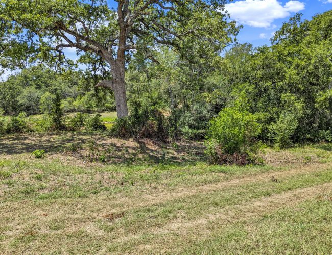 PXL_20250626_183702172