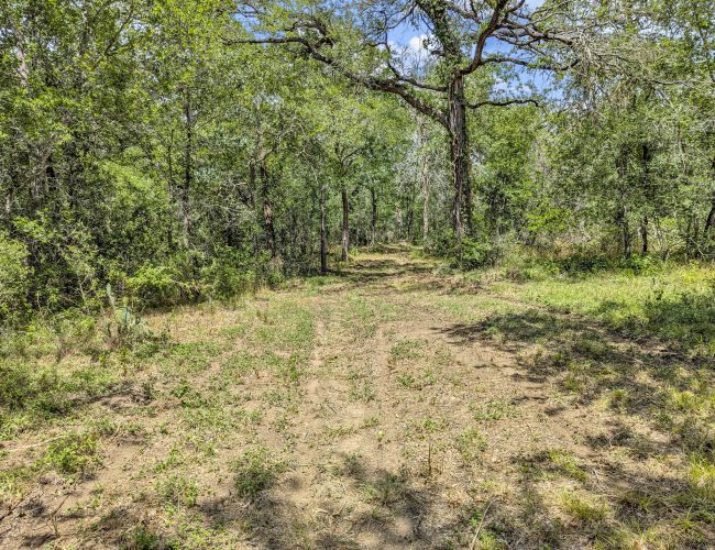 PXL_20250626_195535972