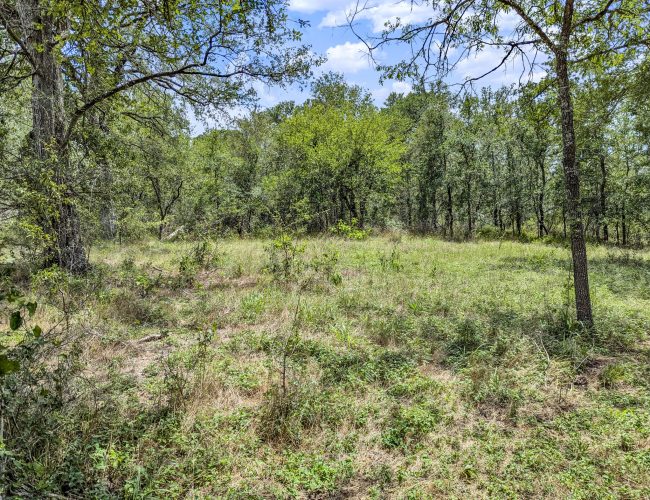 PXL_20250626_195603642