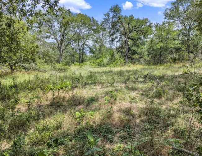 PXL_20250626_195609615