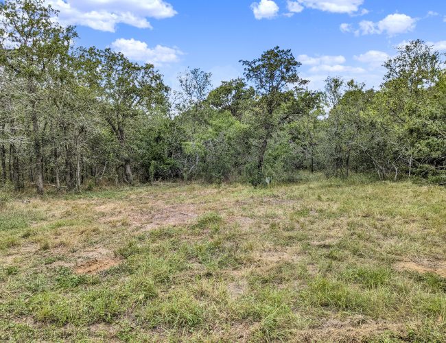 PXL_20250626_195805113