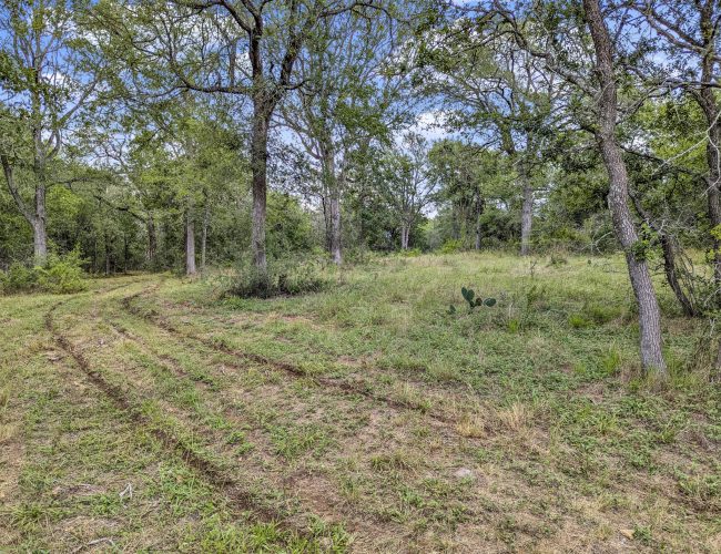 PXL_20250626_195821721