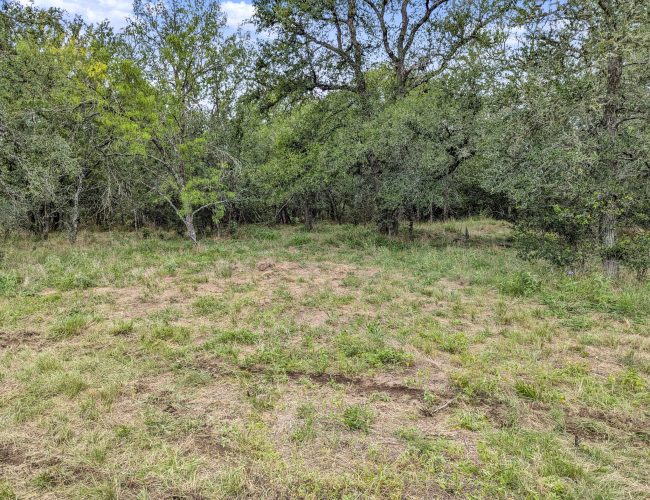 PXL_20250626_202725729