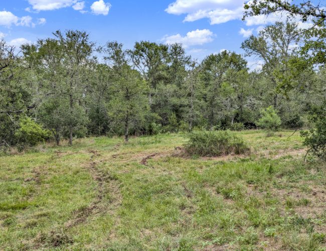 PXL_20250626_202834163