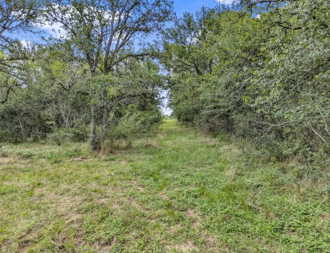 PXL_20250626_202900492