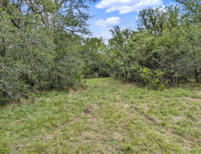 PXL_20250626_202915274