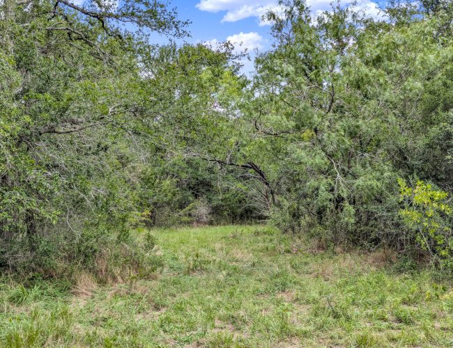 PXL_20250626_202919342