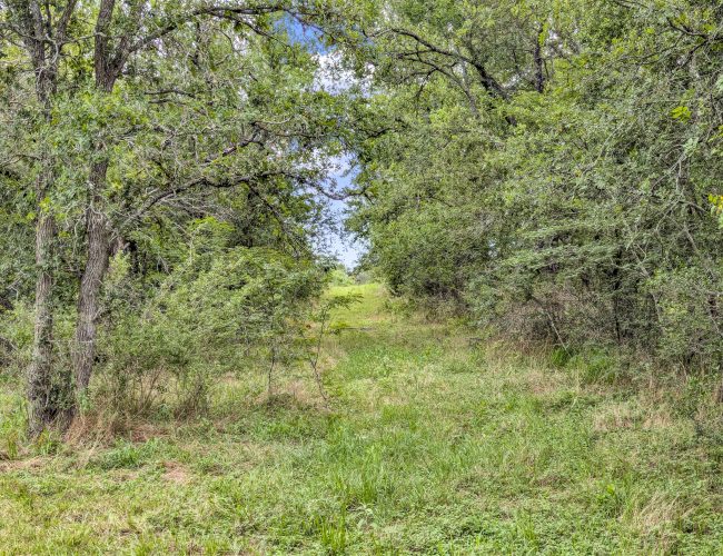 PXL_20250626_202924458