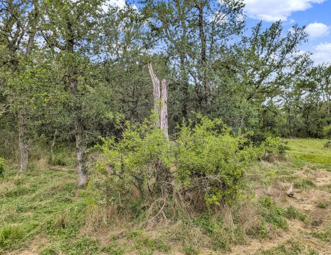 PXL_20250626_203142757