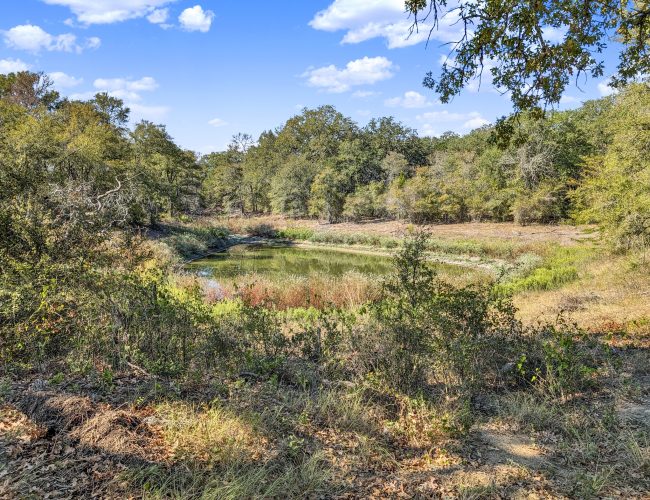 PXL_20250927_154233492