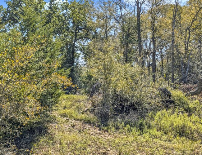 PXL_20251029_180620701