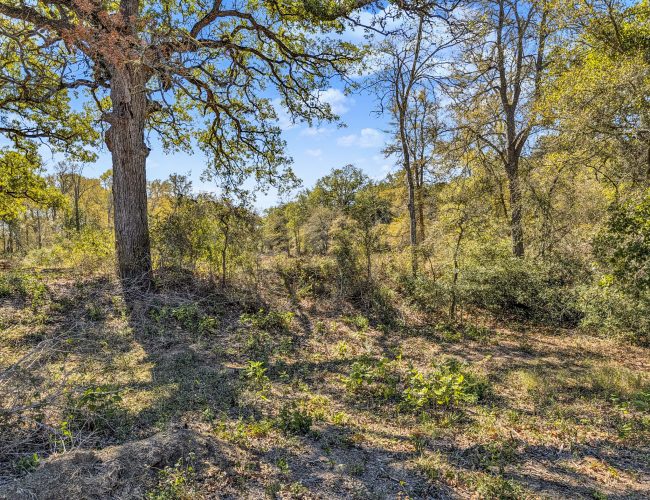 PXL_20251029_183817176