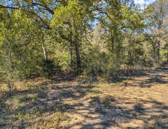 PXL_20251029_183826298