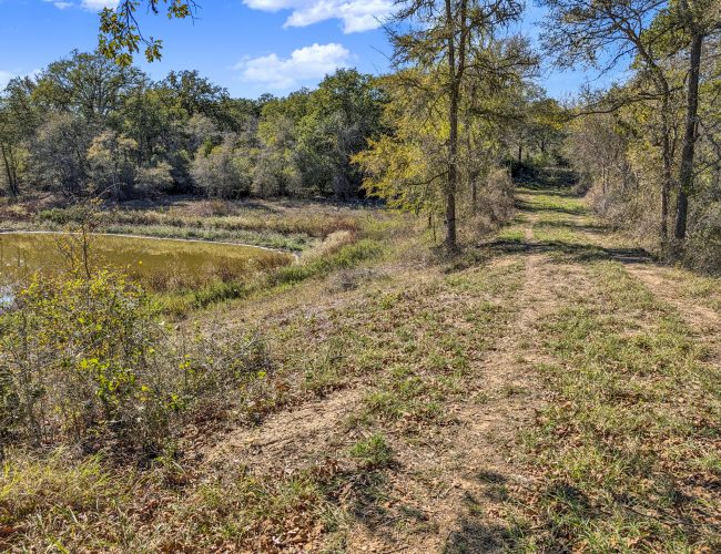 PXL_20251106_194549331.MP