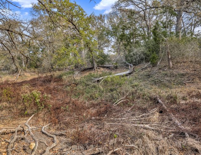 PXL_20251119_184850750