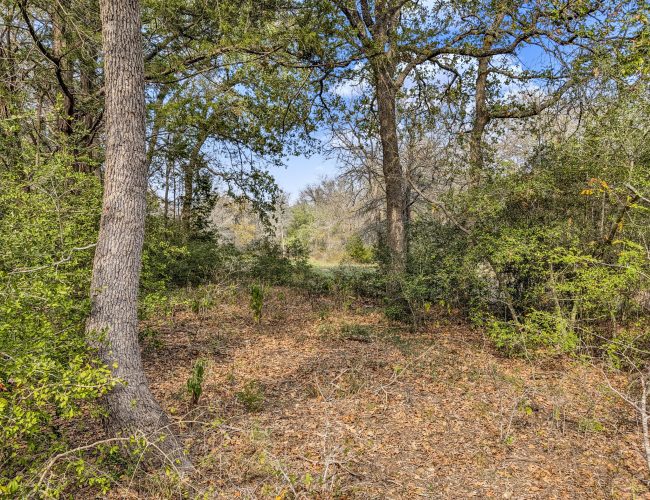 PXL_20251119_185137566.MP