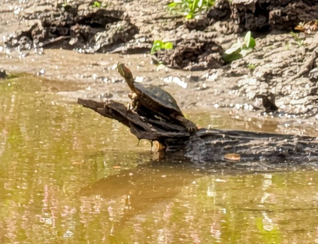 PXL_20251129_190119915.BURST-01