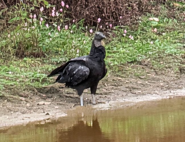 PXL_20251129_190900326.BURST-01