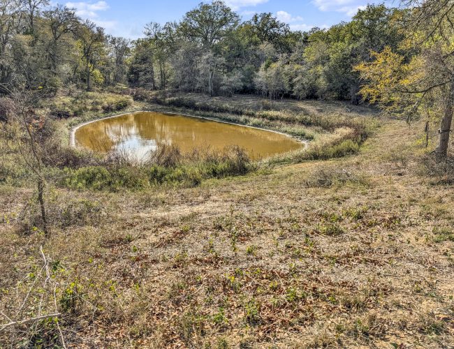 PXL_20251129_202014696