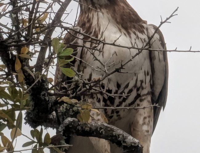 PXL_20251228_181519878.BURST-01