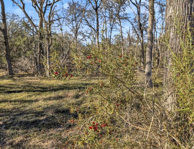 PXL_20260102_204654542