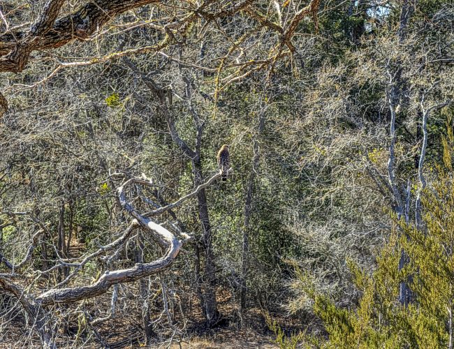 PXL_20260119_185341584