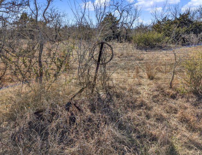 PXL_20260119_194348789