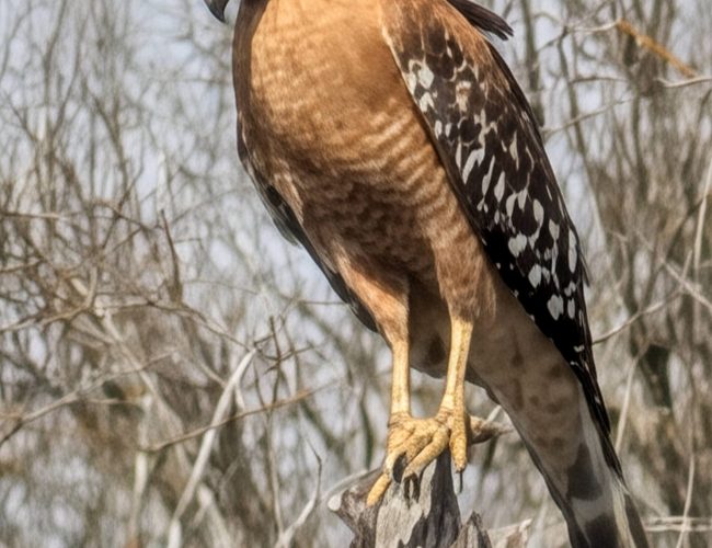 PXL_20260212_190032581.BURST-01