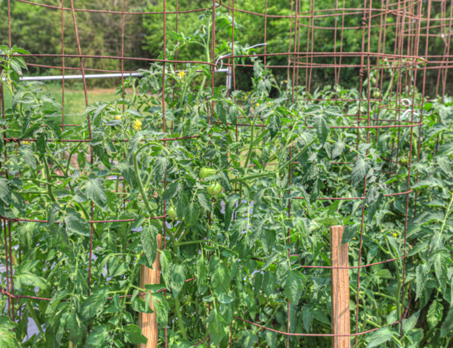 Ranch_Barndo_MLS-129