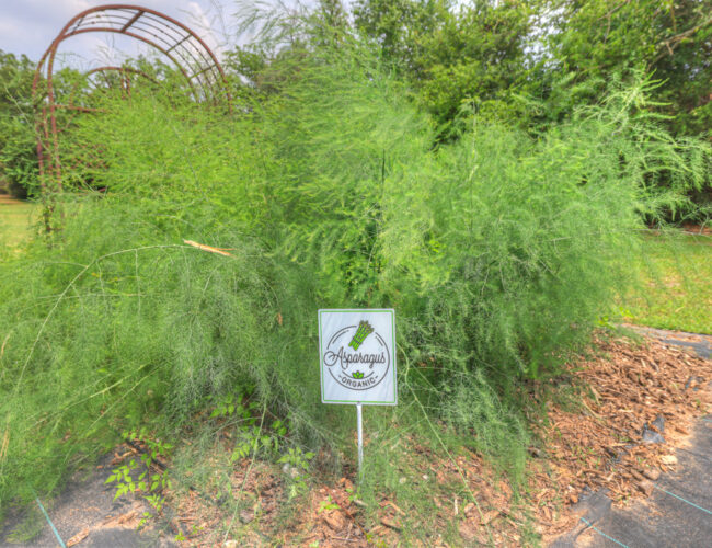 Ranch_Barndo_MLS-131