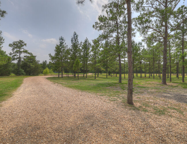 Ranch_Barndo_MLS-146