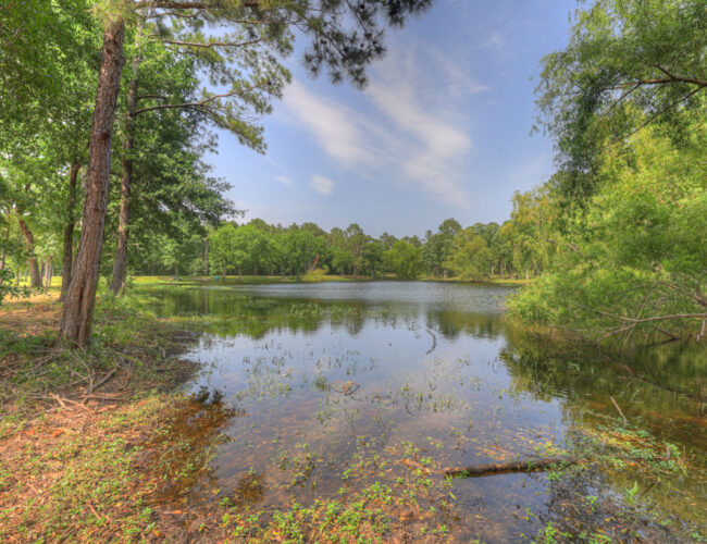 Ranch_Barndo_MLS-158
