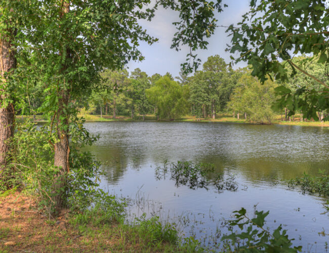 Ranch_Barndo_MLS-161
