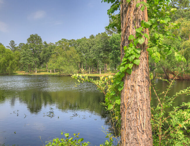 Ranch_Barndo_MLS-162