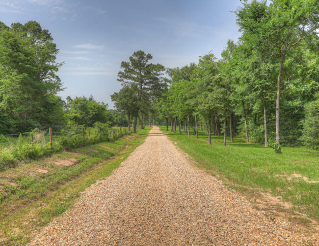 Ranch_Barndo_MLS-175