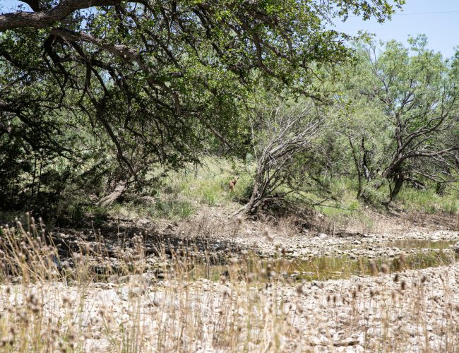 Sonora_Ranch_LRG-118