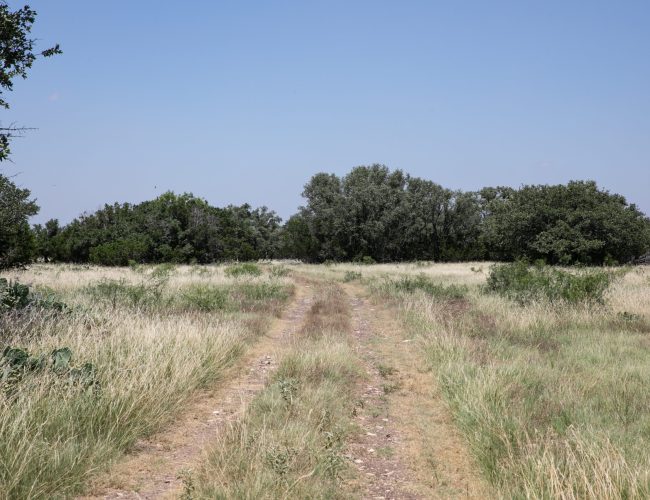 Sonora_Ranch_LRG-63