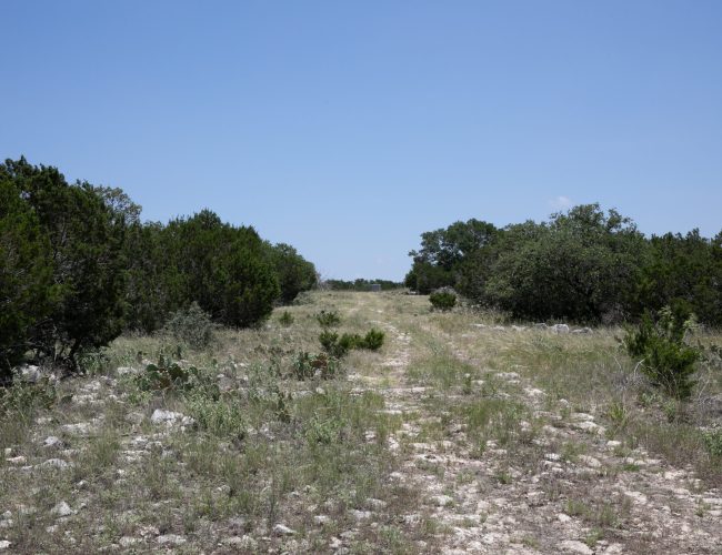 Sonora_Ranch_LRG-68