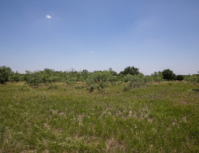 Sonora_Ranch_LRG-86