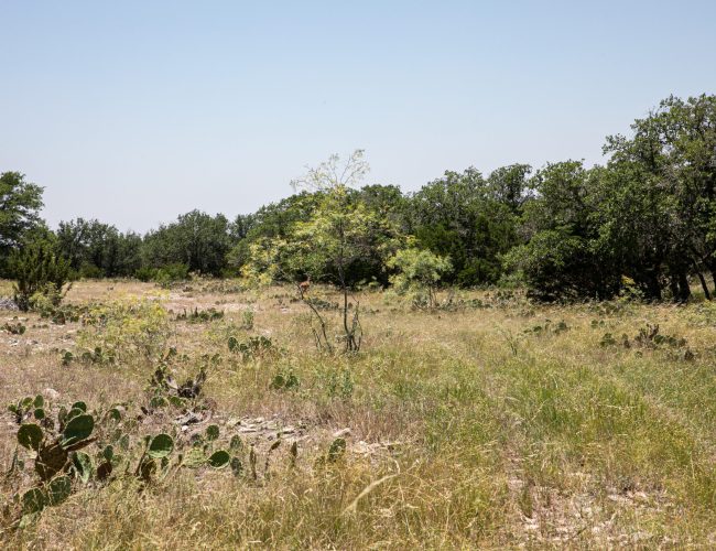 Sonora_Ranch_LRG-93