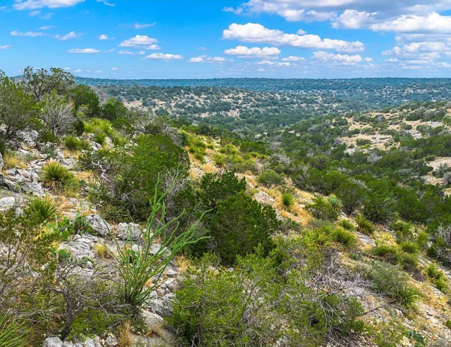 a685500790aceee13c2bf934678510cd-uncropped_scaled_within_1536_1152