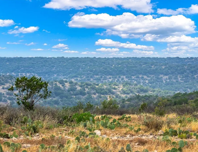 aada829ac2ddbbfd520144cd5e19329a-uncropped_scaled_within_1536_1152