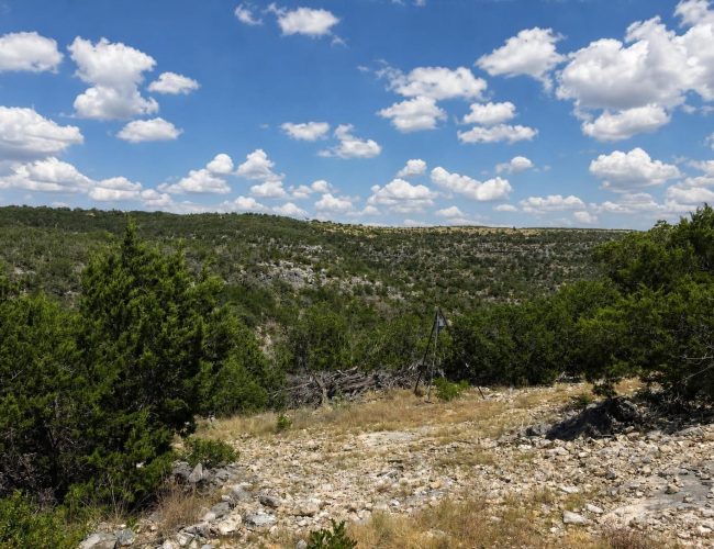 axis-draw-edwards-county-texas-20260828-134332-006