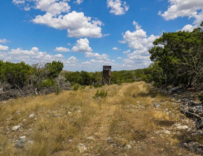axis-draw-edwards-county-texas-20260828-134712-008